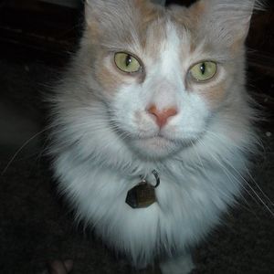 Meet your Posher, Marcus